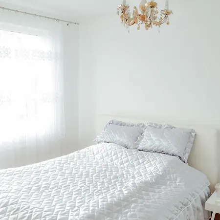 Petunija Lejlighed *